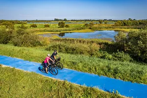 Blue bike path along the Vistula