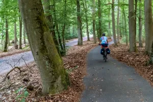 Cycle path through the Schorfheide-Chorin nature reserve
