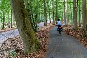 Cycle path through the Schorfheide-Chorin nature reserve