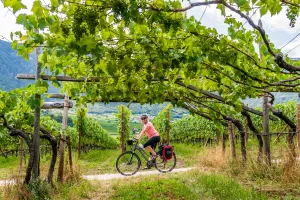 Cycling in South Tyrol, Italy