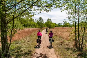 Cycling route in the Müritz National Park