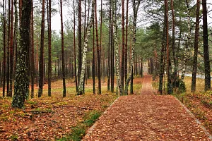 The Kashubian Route near Męcikał
