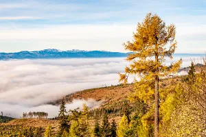 Mists over the Liptov Basin