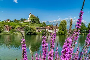 Werdenberg castle in the Rhine Valley